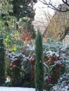Winter Photo